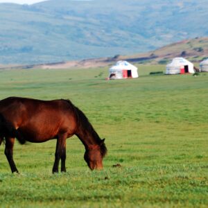 Mongolia